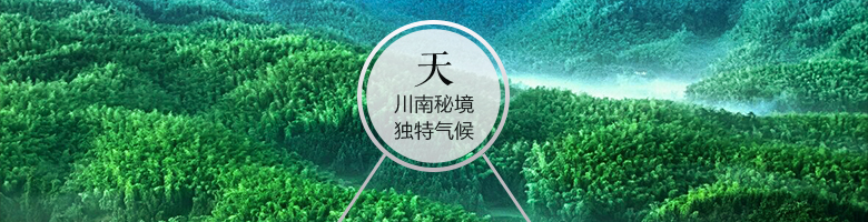 52°密鑒（鑒賞·藝術(shù)）500ml 五糧液股份有限公司出品
