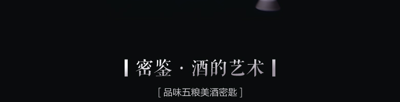 52°密鑒（鑒賞·藝術(shù)）500ml 五糧液股份有限公司出品