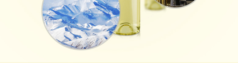 祁連傳奇冰白葡萄酒（冰酒）500ml（雙瓶裝）+酒刀