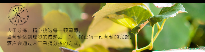 法國拉菲羅斯柴爾德特藏波爾多法定產(chǎn)區(qū)紅葡萄酒750ml
