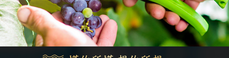 法國拉菲羅斯柴爾德特藏波爾多法定產(chǎn)區(qū)紅葡萄酒750ml