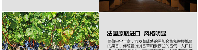 法國(guó)整箱紅酒法國(guó)拉菲珍藏波爾多法定產(chǎn)區(qū)紅葡萄酒（ASC正品行貨）