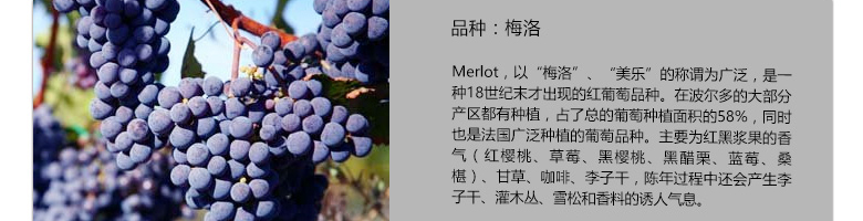 法國(guó)整箱紅酒法國(guó)拉菲珍藏波爾多法定產(chǎn)區(qū)紅葡萄酒（ASC正品行貨）
