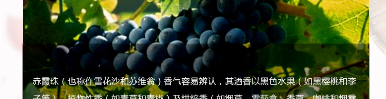 國(guó)拉菲羅斯柴爾德珍釀梅多克法定產(chǎn)區(qū)葡萄酒750ml