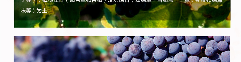 國(guó)拉菲羅斯柴爾德珍釀梅多克法定產(chǎn)區(qū)葡萄酒750ml